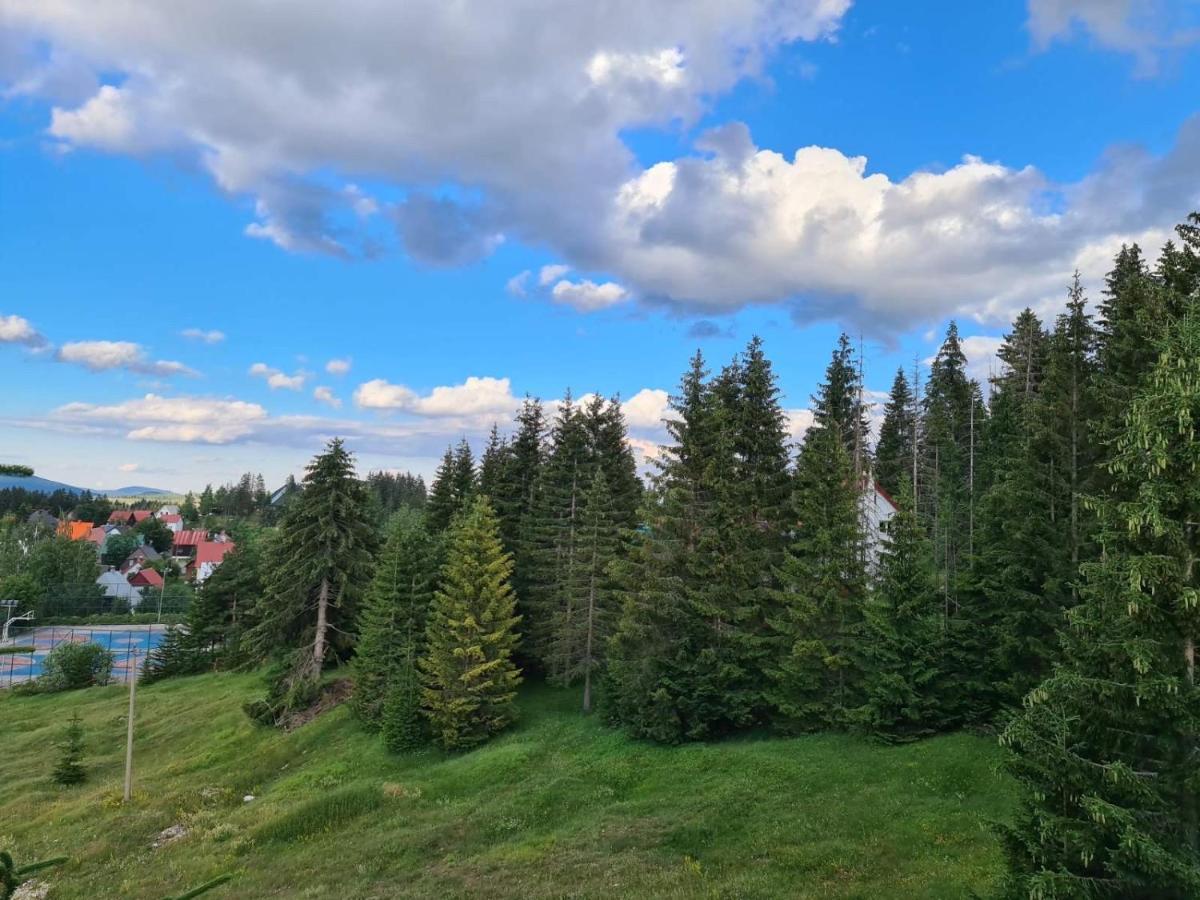 Turisticki Apartmani “Kraljeva Stolica” Žabljak Eksteriør bilde